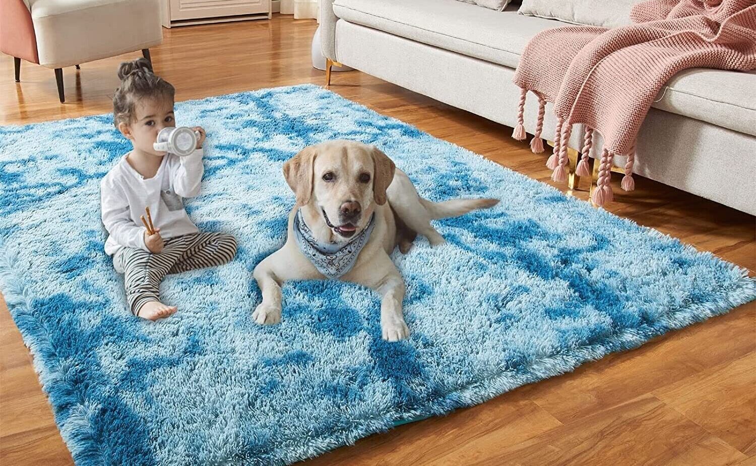 Light Blue Fluffy Shaggy Area Rugs-Unique Room Ideas.